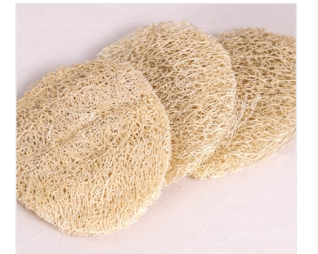 Yüz Pedi Oval 3lü Paket