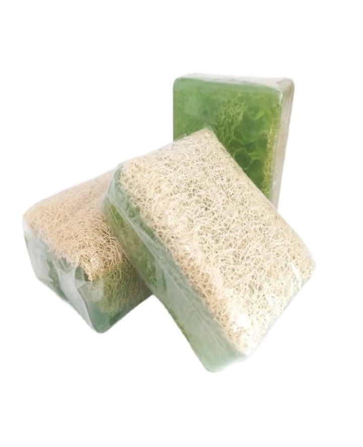 Aloe Vera Lifli Sabun