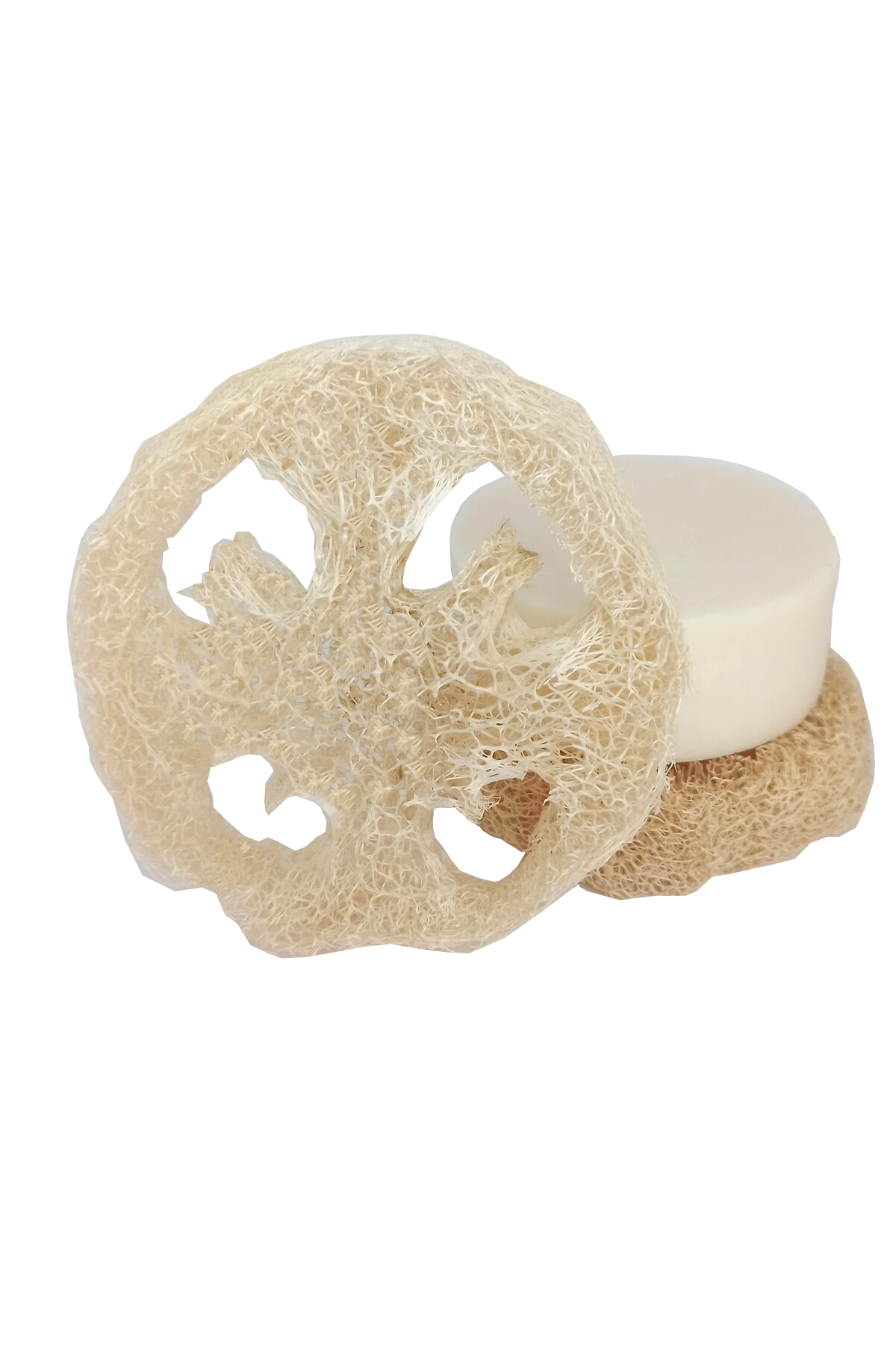 Doğal Sabunluk Kabak Lifi